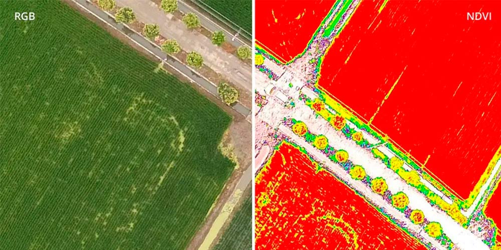 DJI-Phantom-4-Multispectral.-RGB-и-NDVI.jpg DJI-Phantom-4-Multispectral.-RGB-и-NDVI.jpg