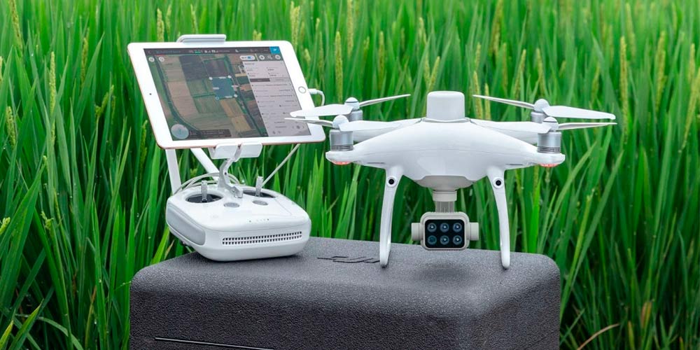 DJI-Phantom-4-Multispectral.-Информации-о-здоровье-растений.jpg DJI-Phantom-4-Multispectral.-Информации-о-здоровье-растений.jpg