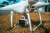DJI Phantom 4 Multispectral DJI Phantom 4 Multispectral